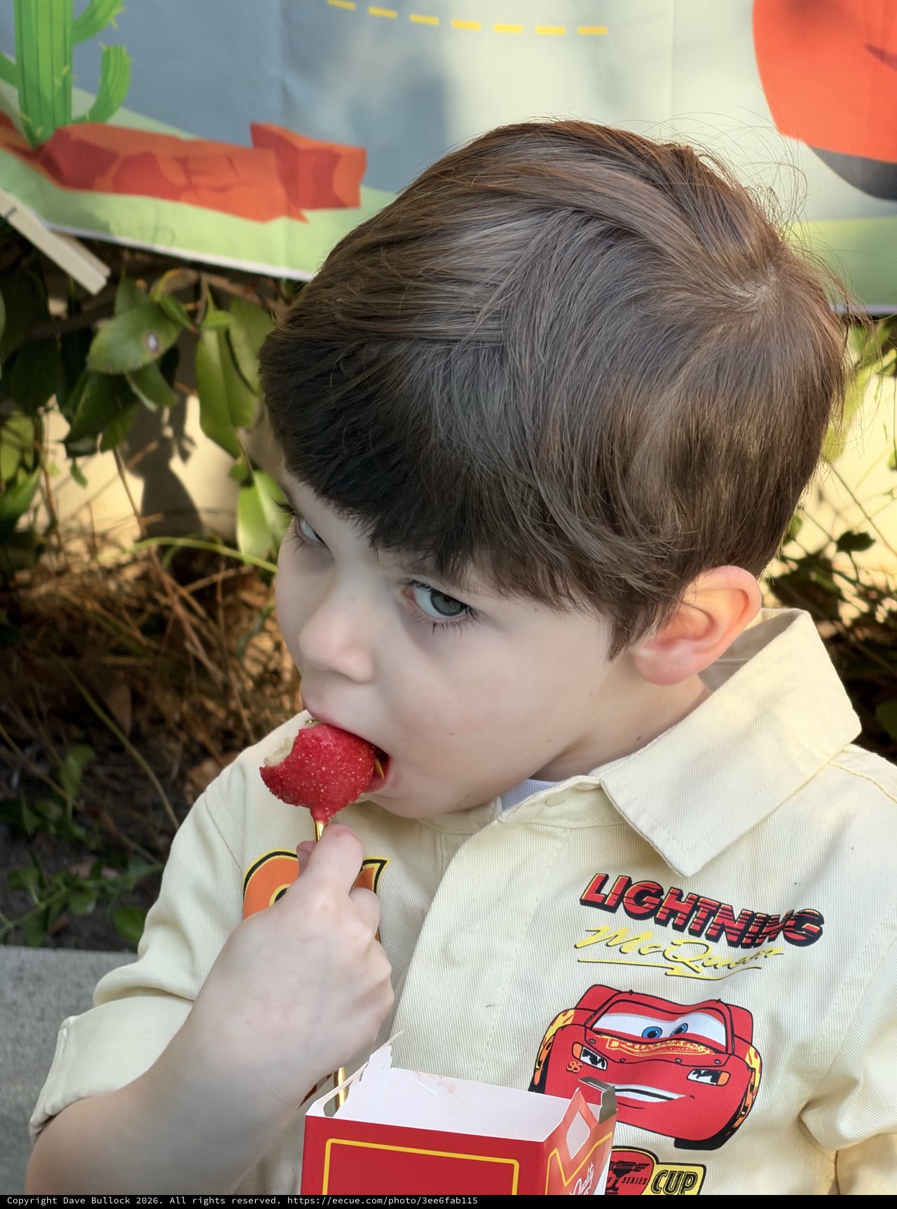 Young Boy Enjoying Chocolate Strawberry Outdoors
