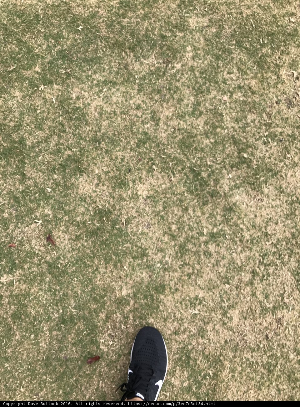 Grounded