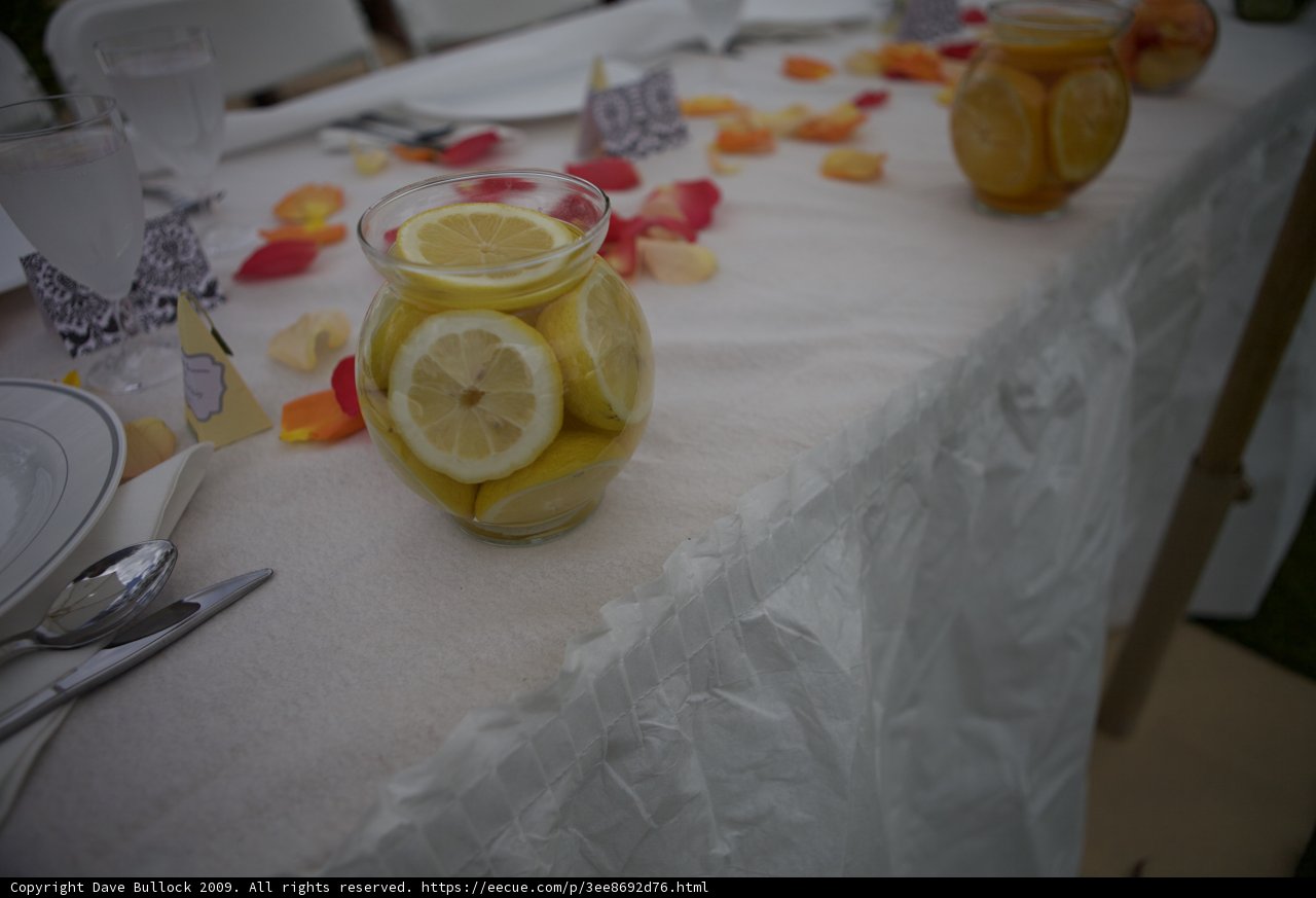 Citrus Delight