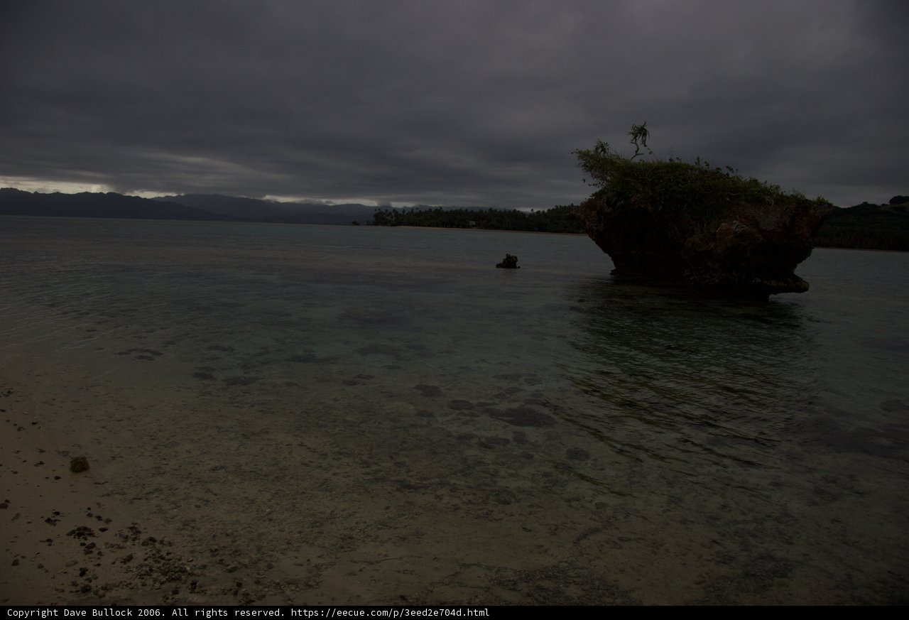 Solitude on the Shoreline