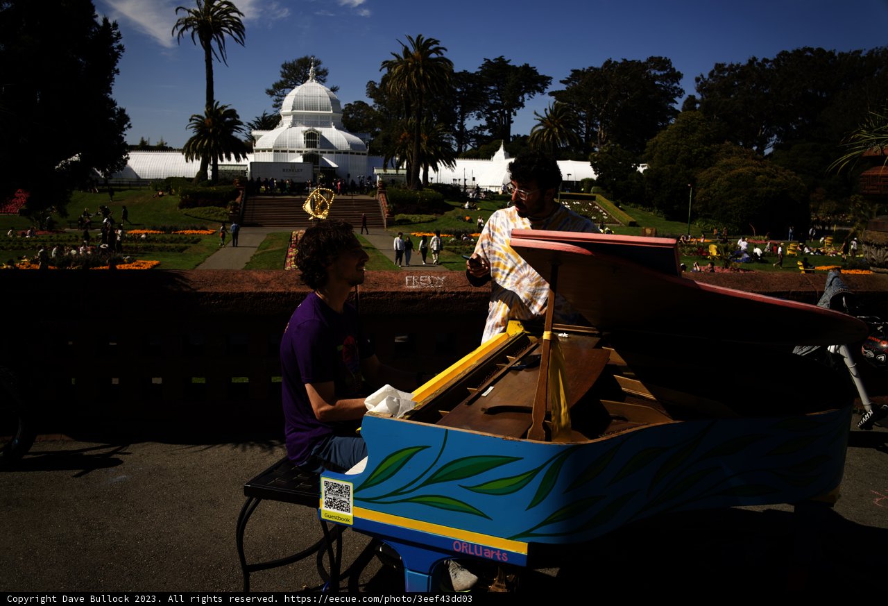 The Outdoor Pianist of Golden Gate Park