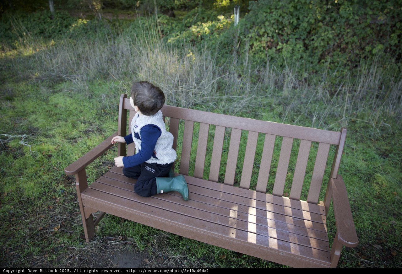 Curious Glance at Thistlewyck