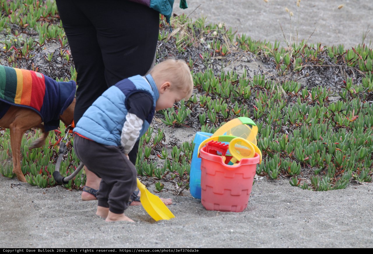 Toddler Explores Beach Sand with Colorful Toys
