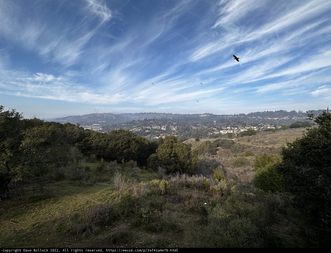 A Bird's Eye View of the Hills
