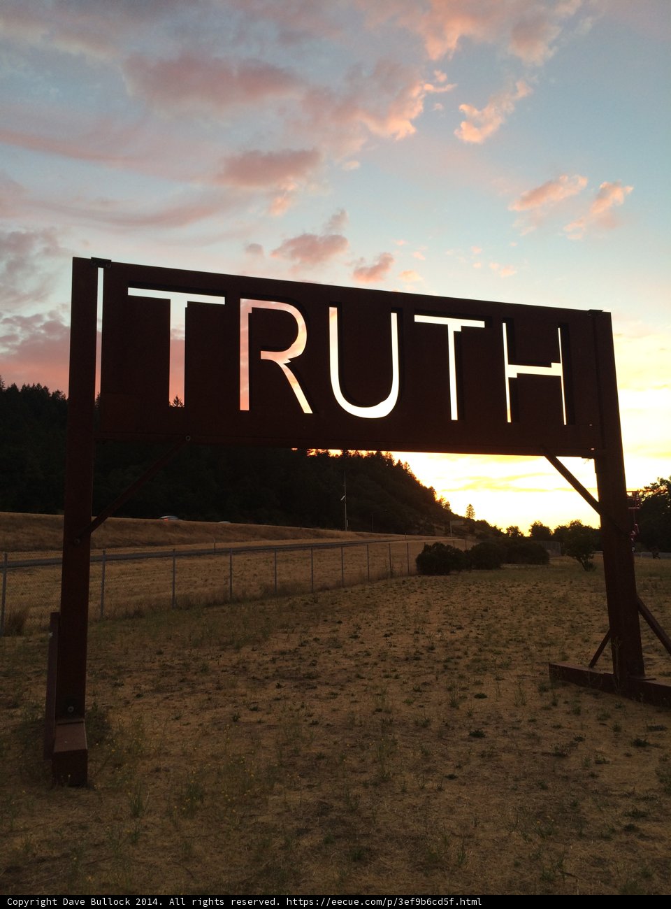 Truth on the Field