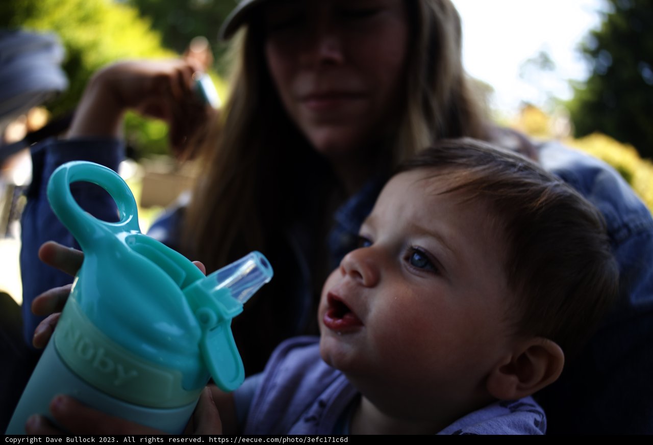 Cherished Moments at de Young Museum, 2023