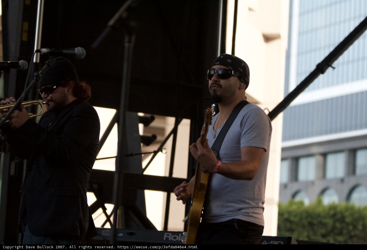 Sunglasses Serenade