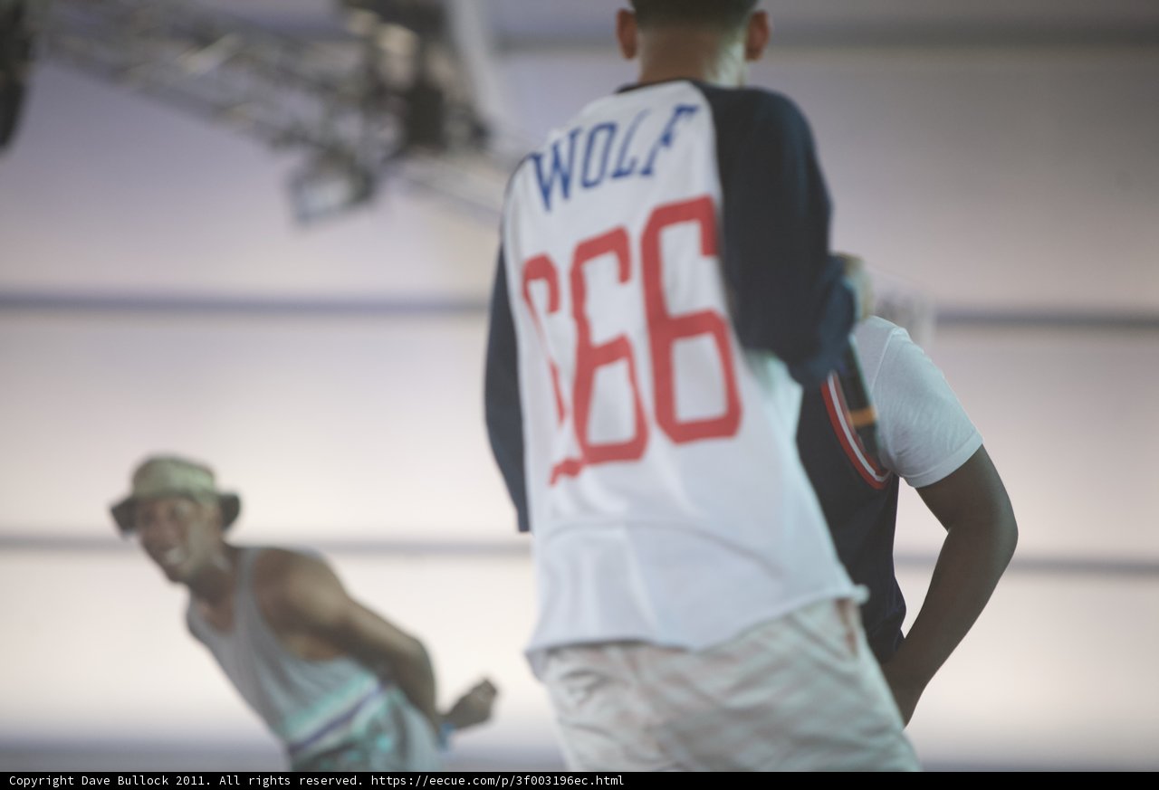 Wolf on the Court