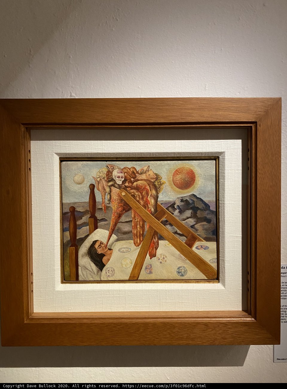 Frida Kahlo's Artistic Vision on Display