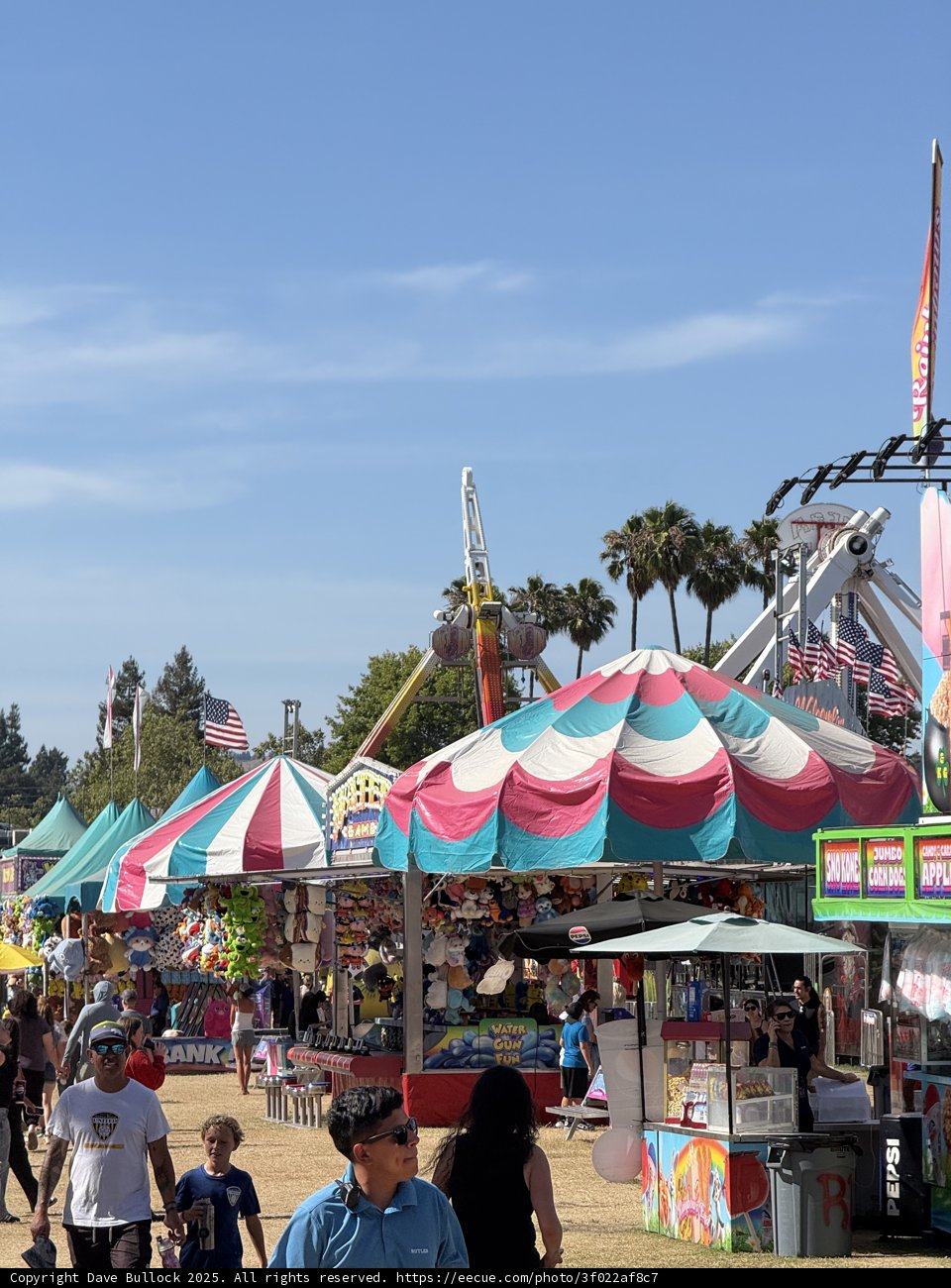Summer Day at the Santa Rosa Fair