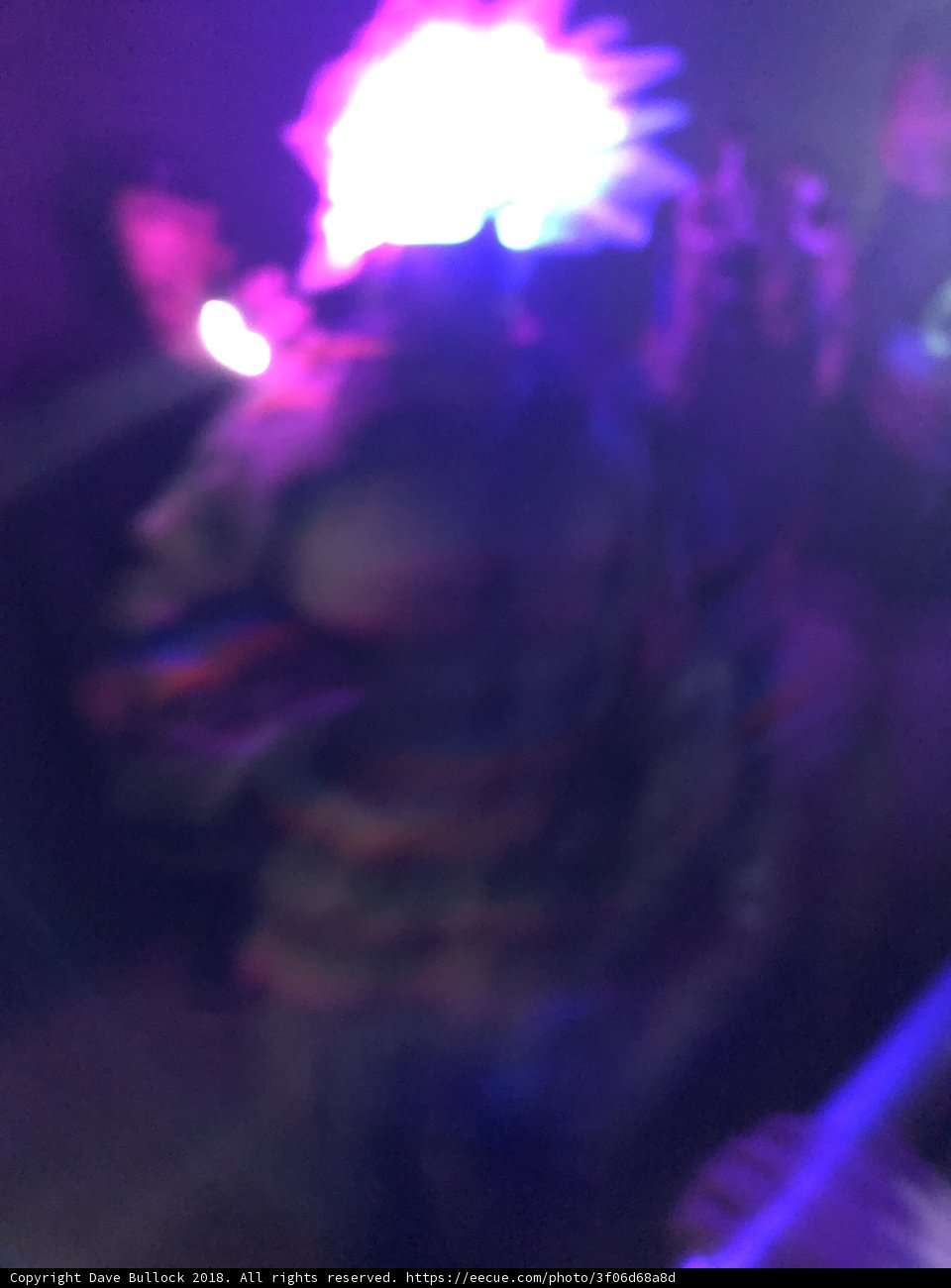 Illuminated Nightlife