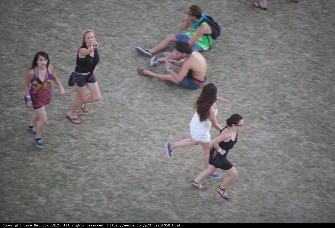 A Sunny Day at Coachella
