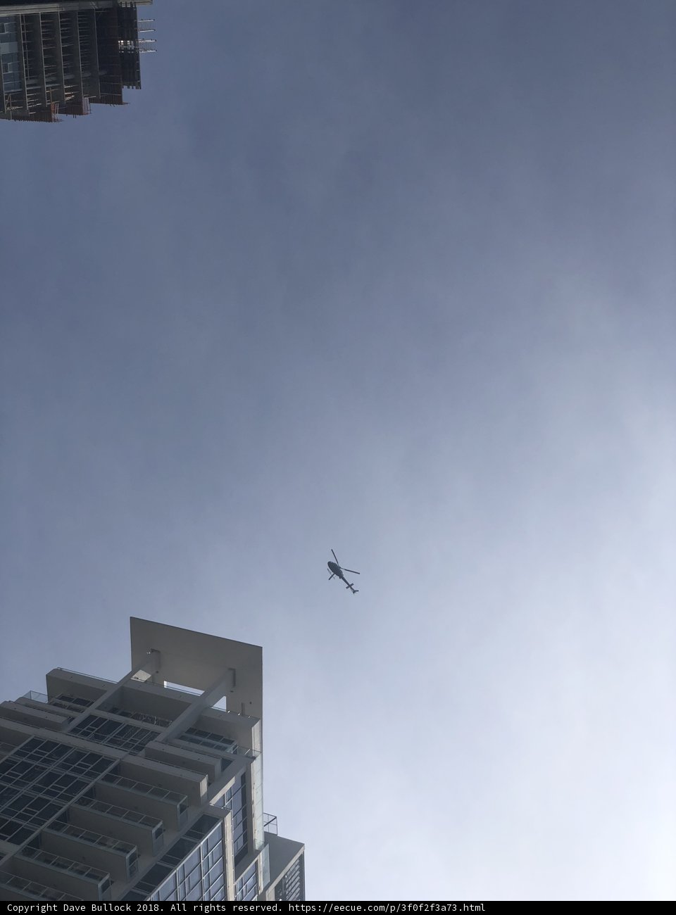 Flying high above the urban jungle