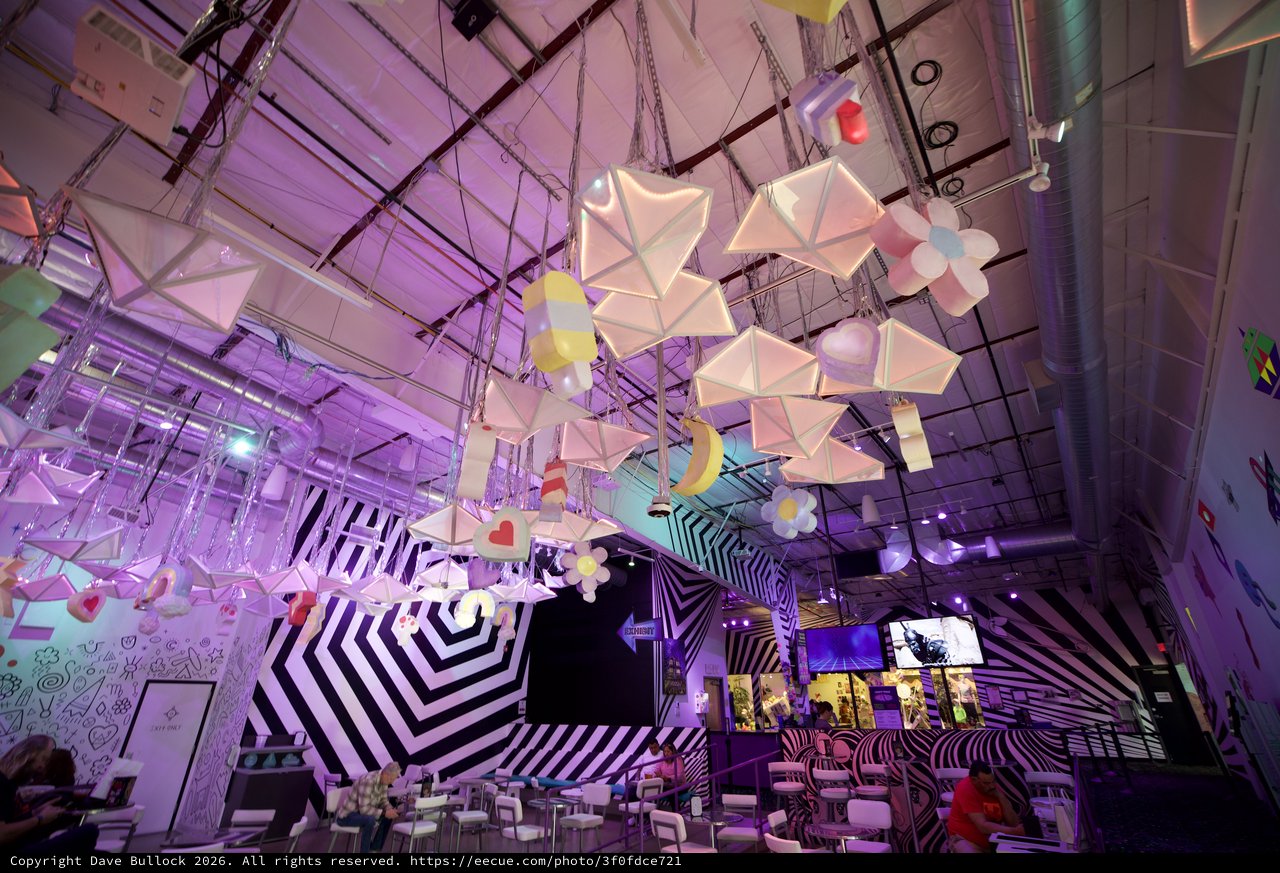 Whimsical Installation Art in Modern Industrial Gallery Space
