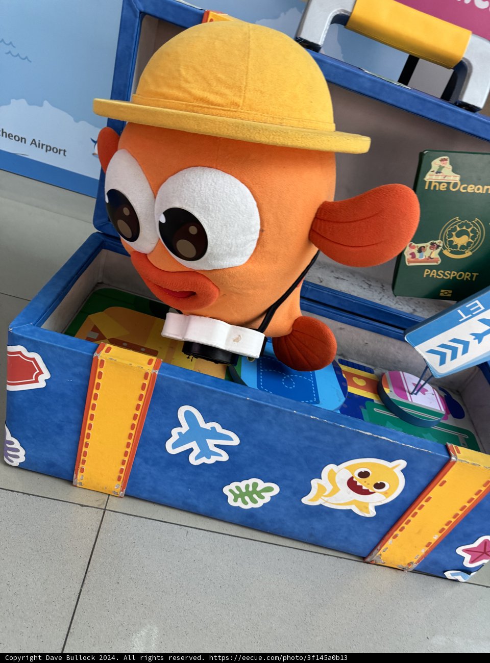 Jet-Setting Teddy On An Adventure