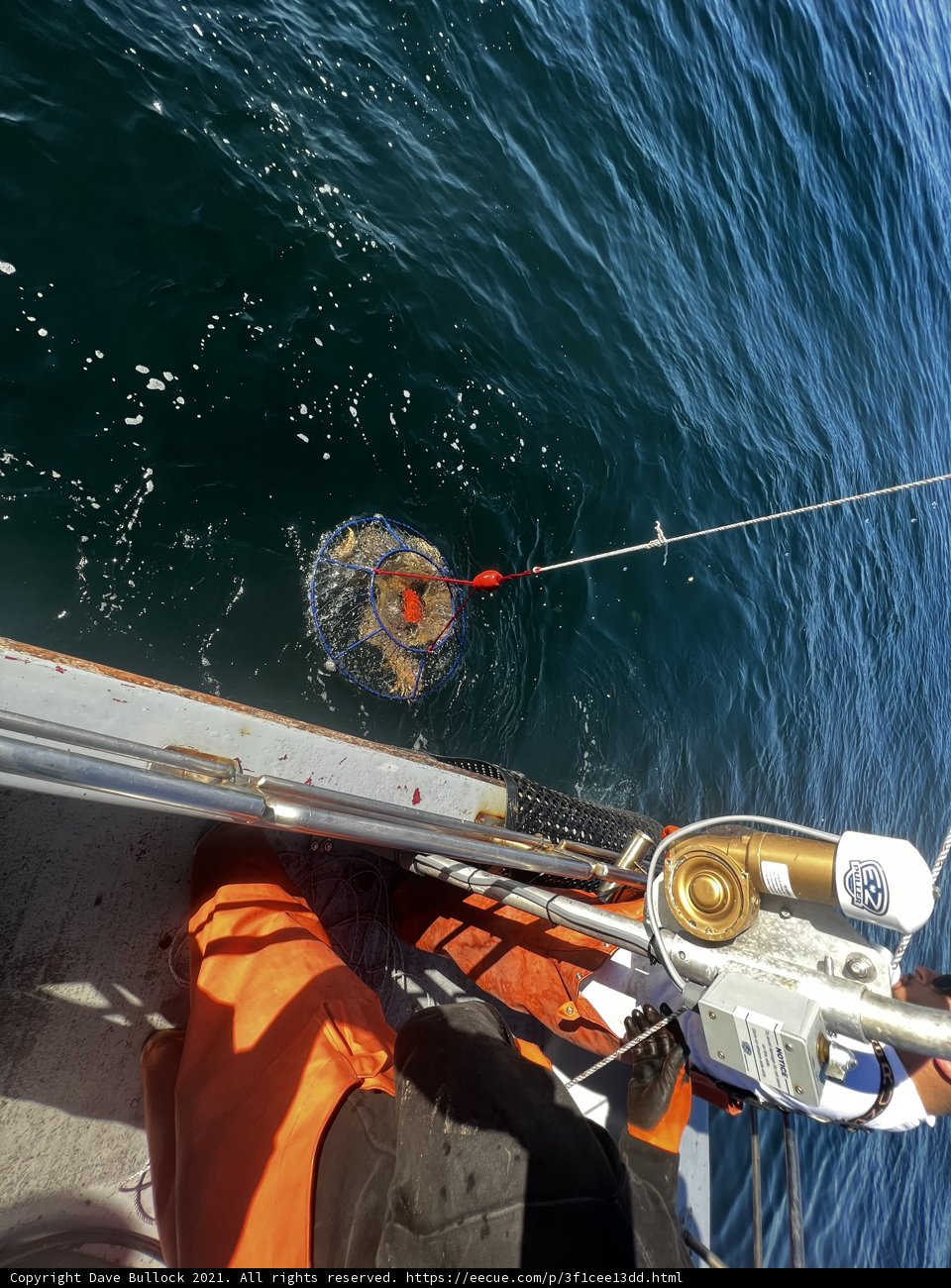 Fishing in the Gulf