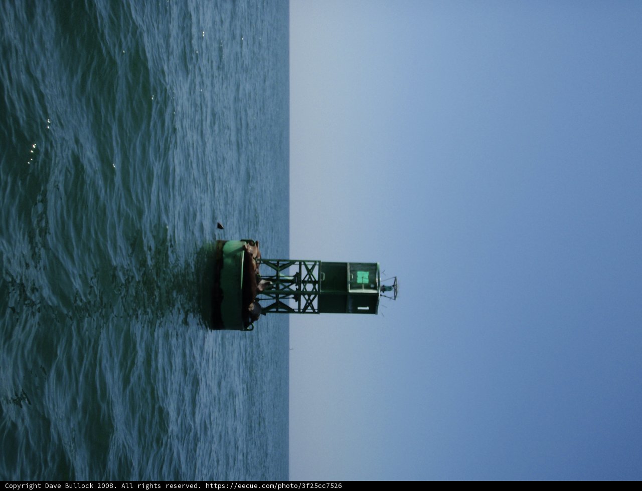 Green Buoy at Sea