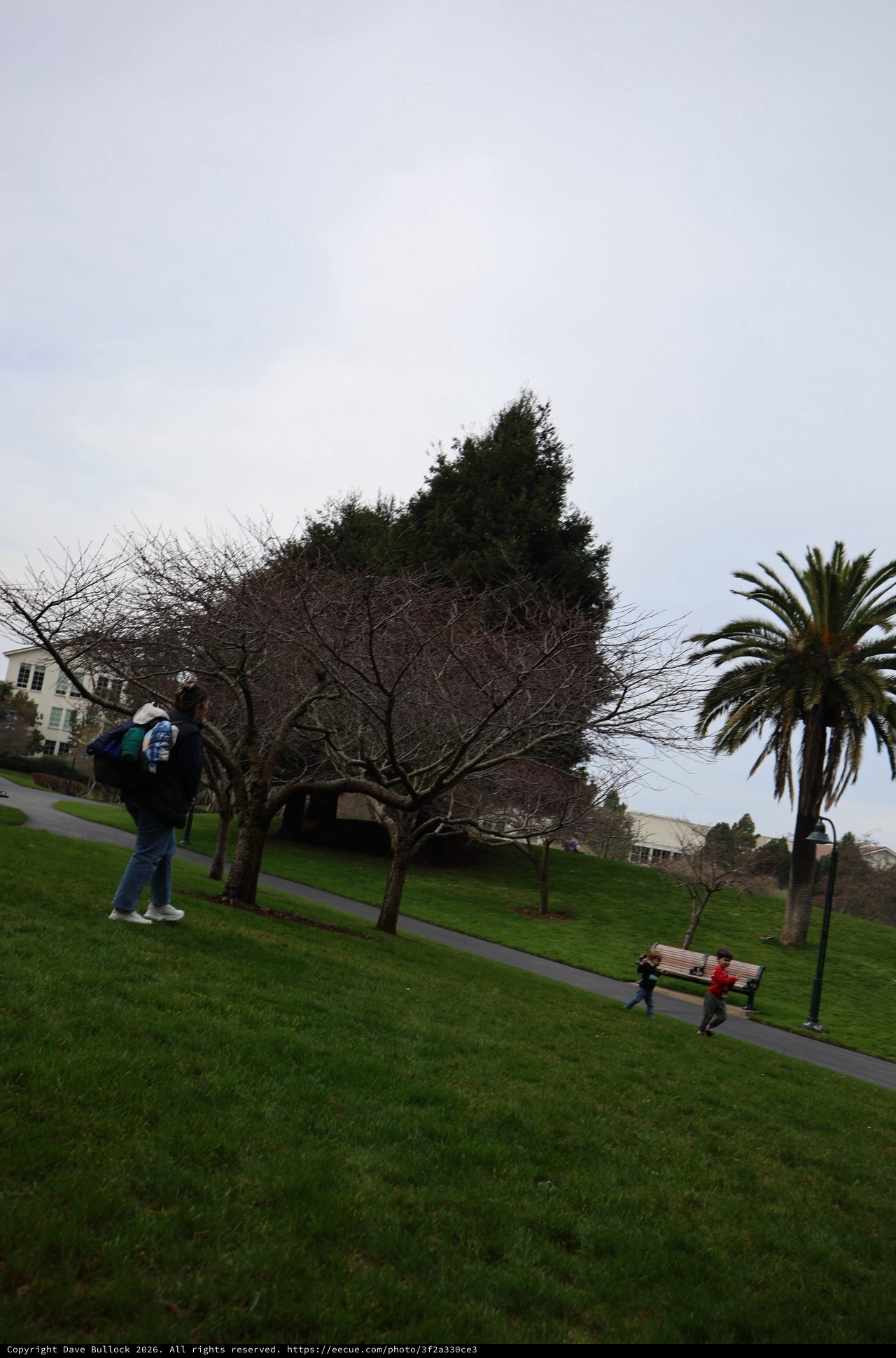 Overcast Day at Skywalker Ranch Park