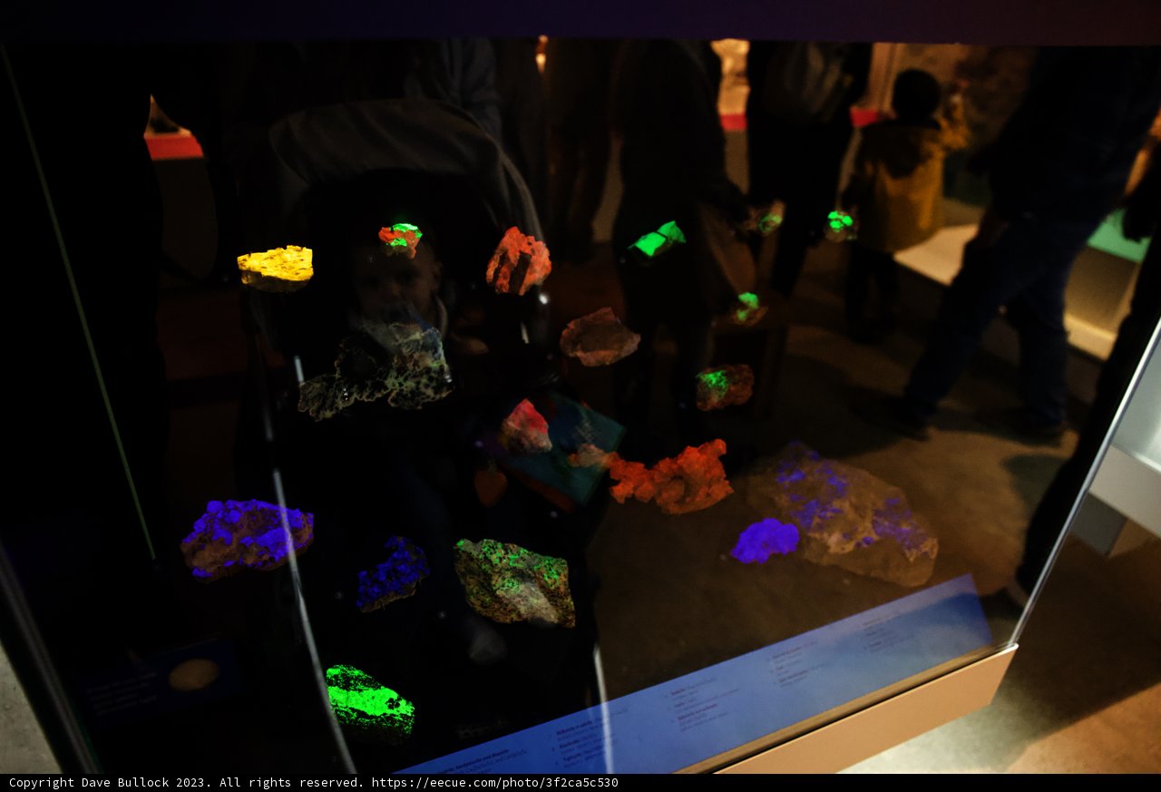 A Sparkling Encounter at California Academy of Sciences