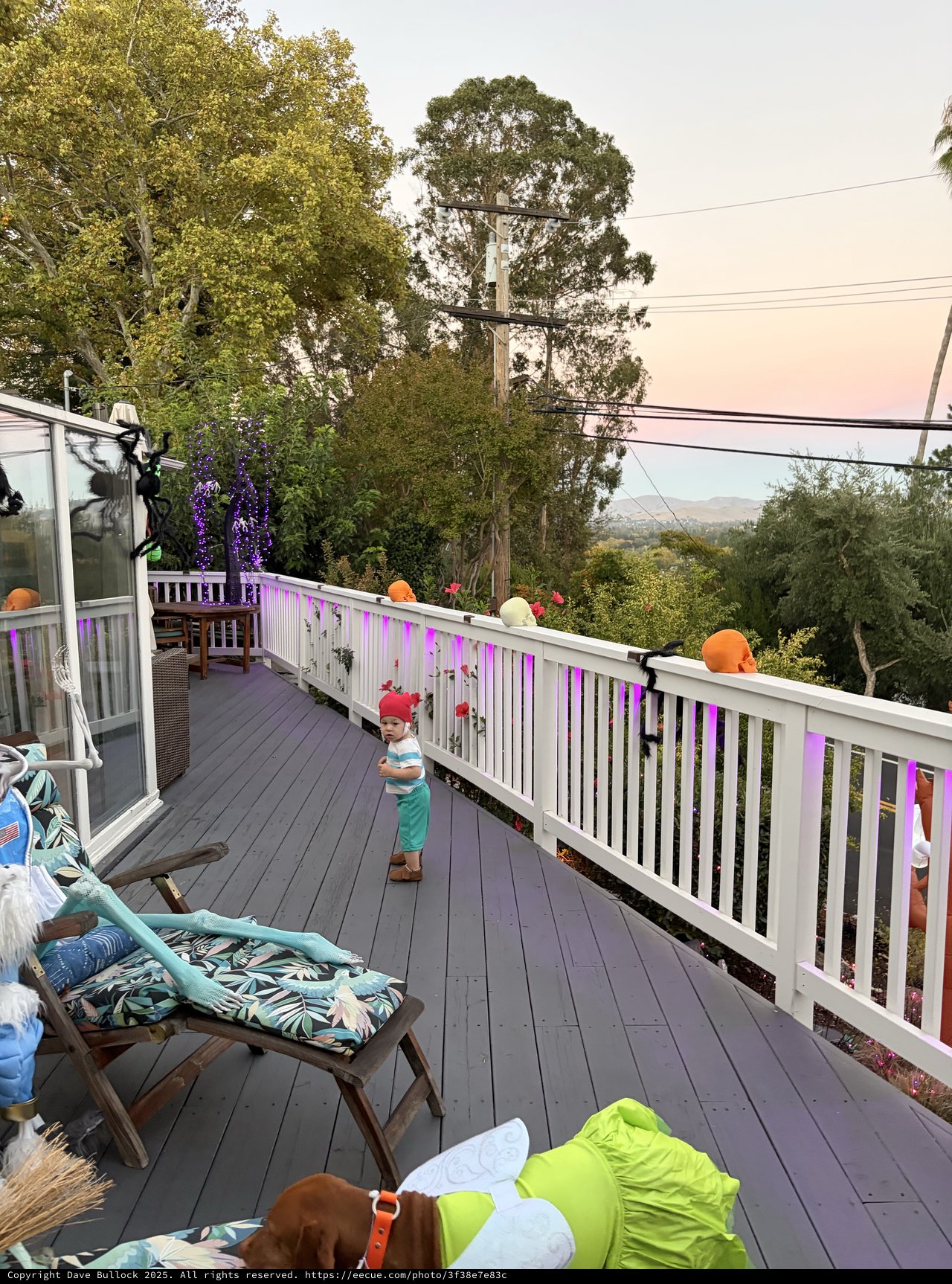 Halloween Deck Party with Toddler and Misty Hills
