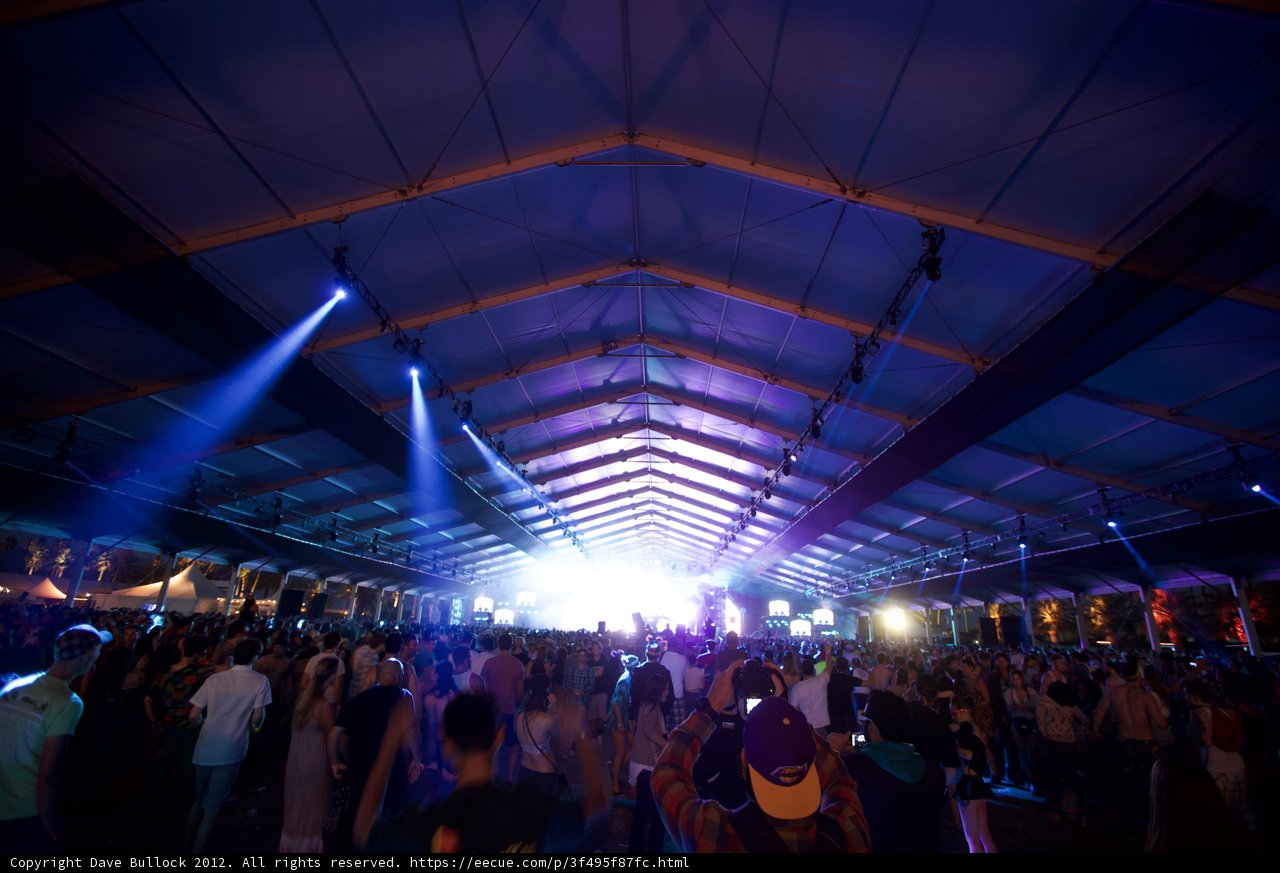 The Electric Crowd
