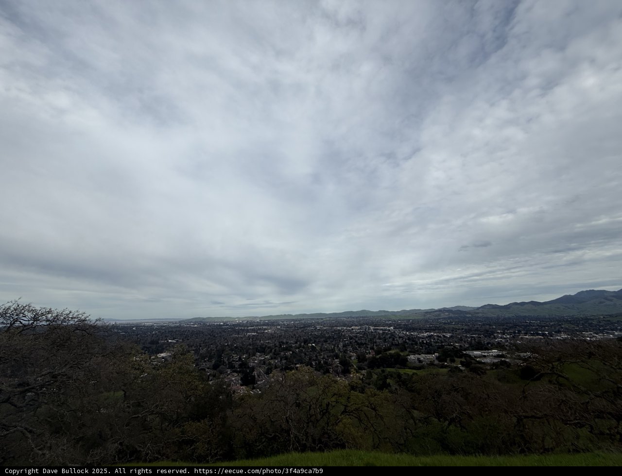 Under the Cloudy Skies of Walnut Creek
