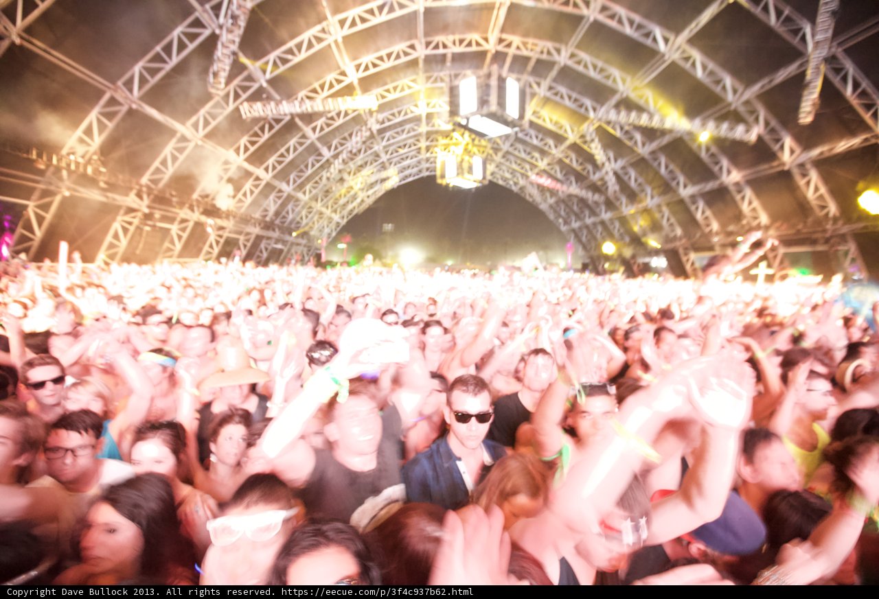 Coachella Crowd Goes Wild
