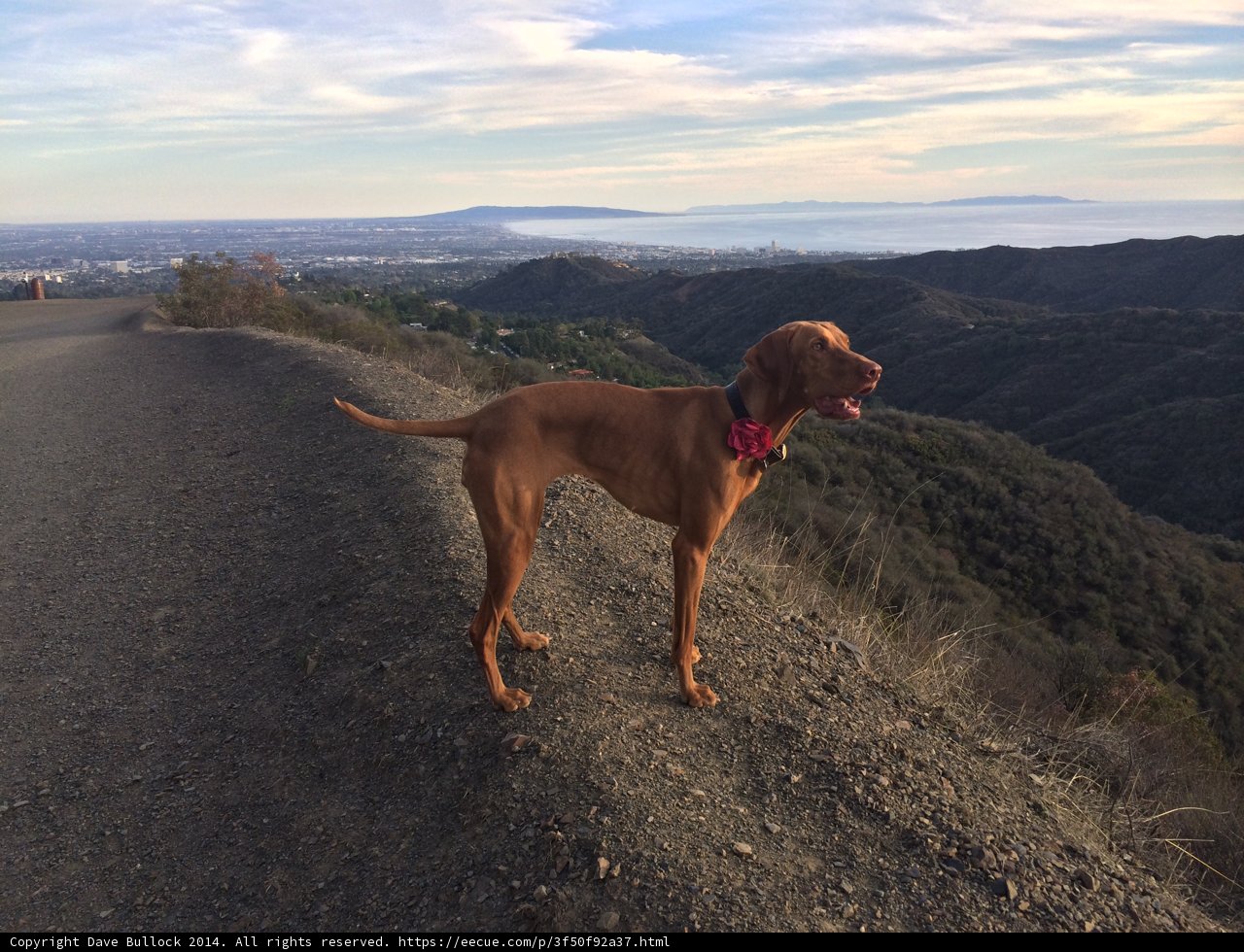 Overlooking the Valley