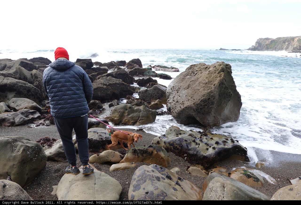 Man and his faithful dog exploring the rocky shores of Jenner