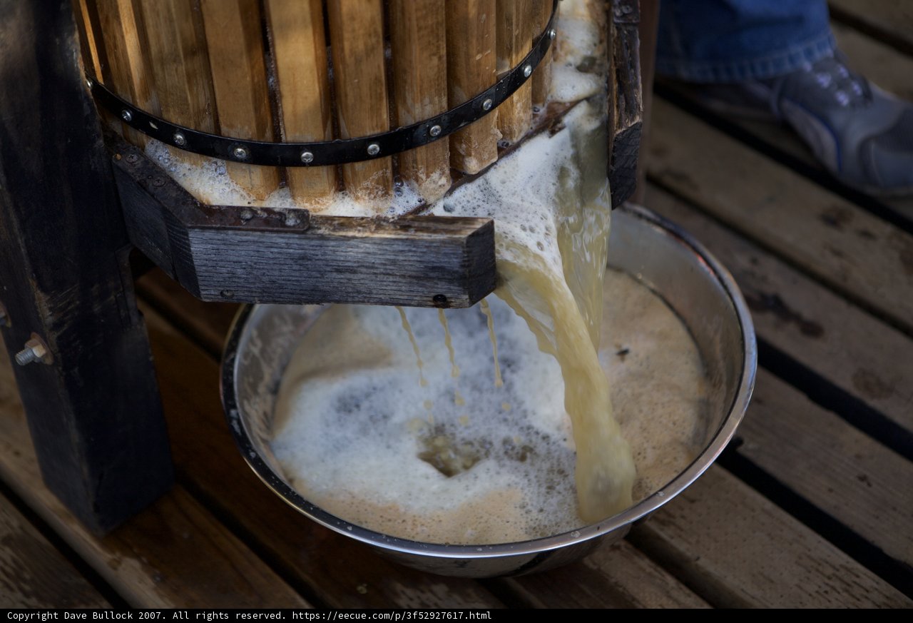 Pouring Fresh Apple Cider at the UA Farm