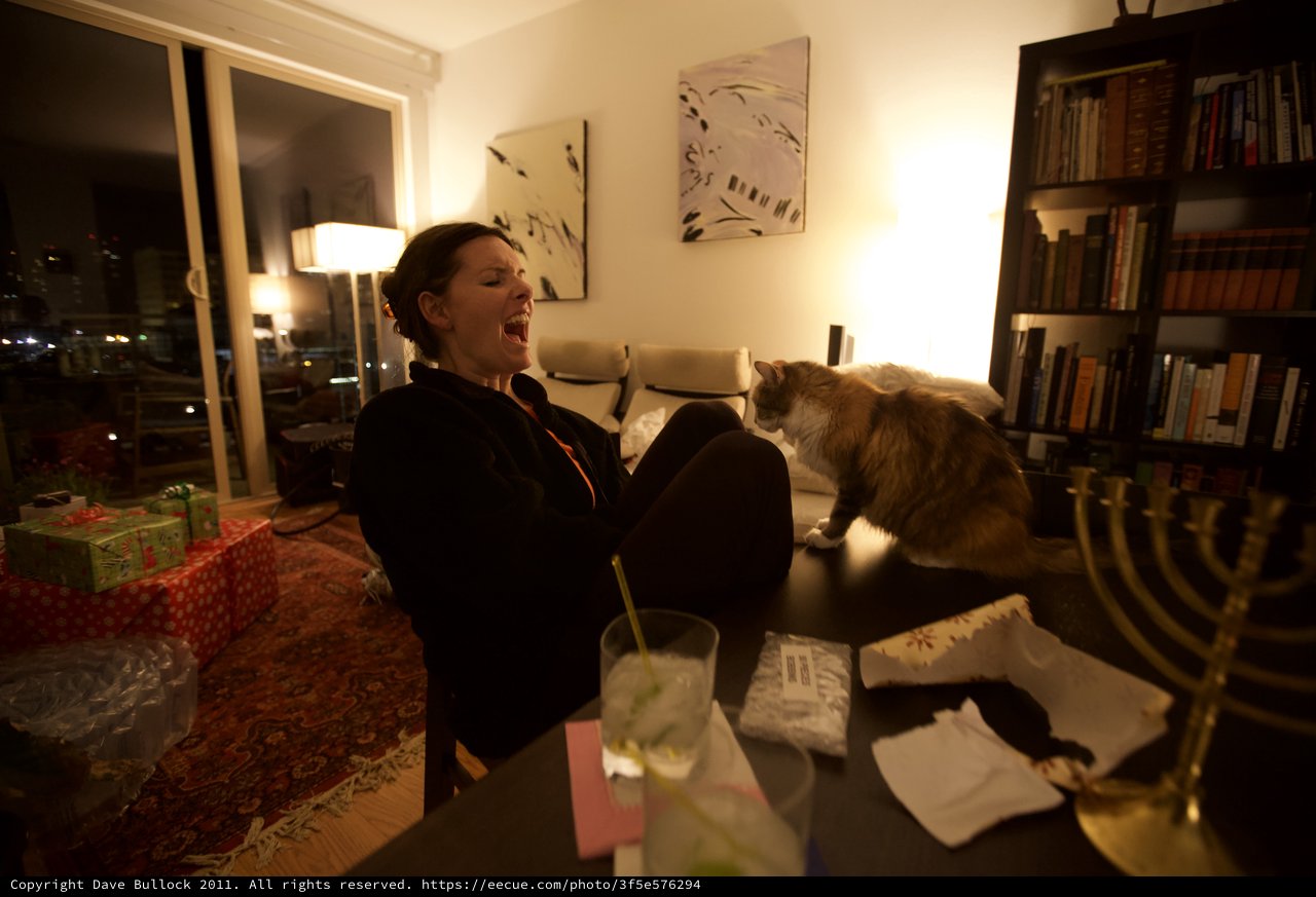 Laughing Woman with Cat During Hanukkah Celebration