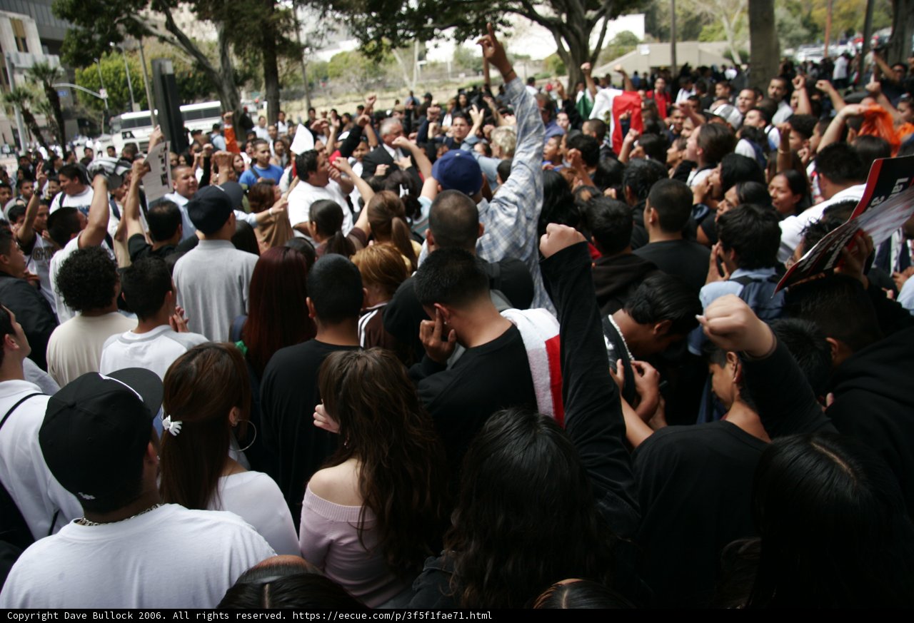 School Walkout Protest