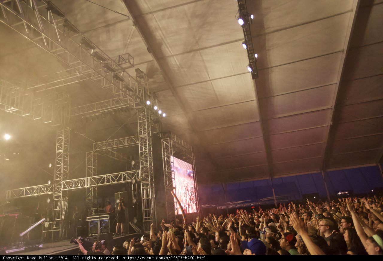 Rocking Out at Coachella