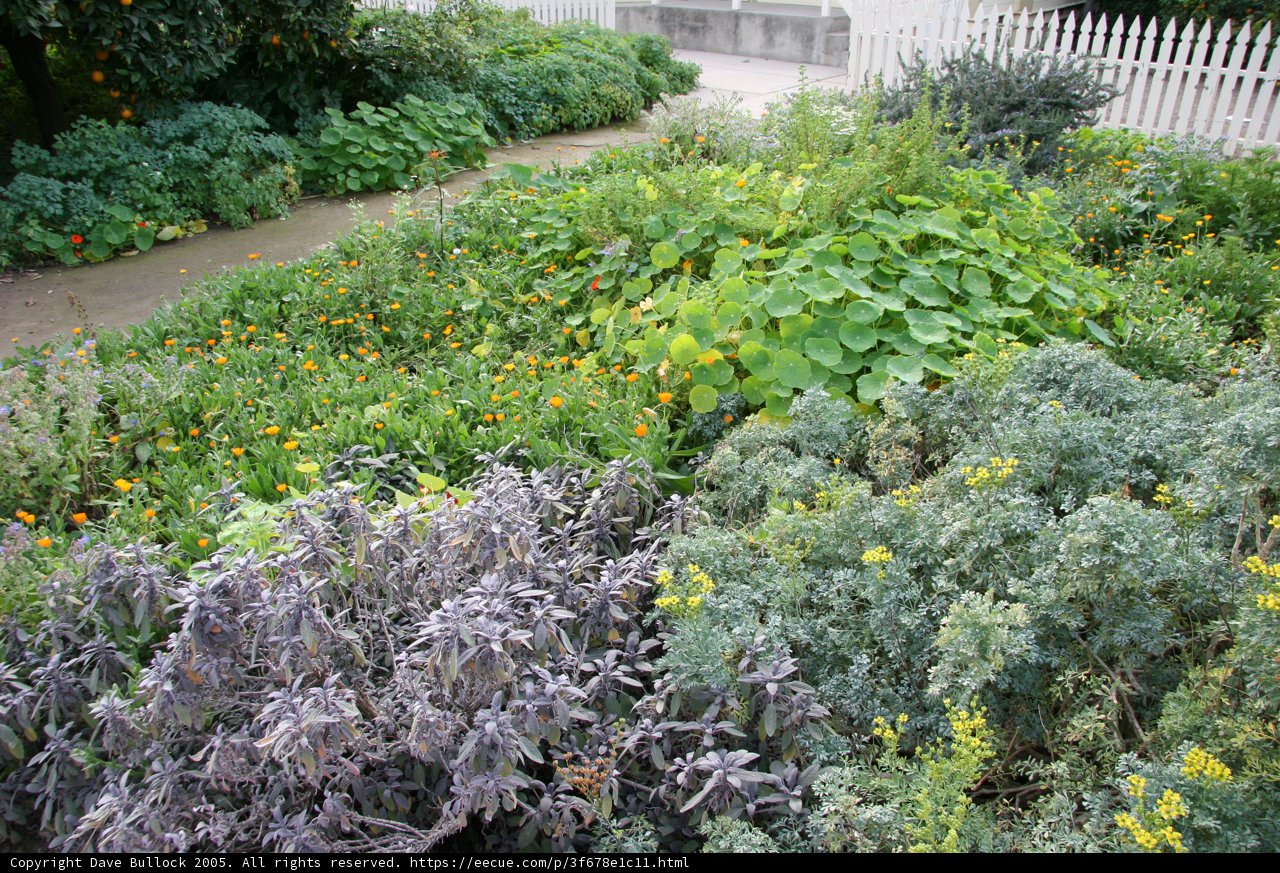Garden Wonderland