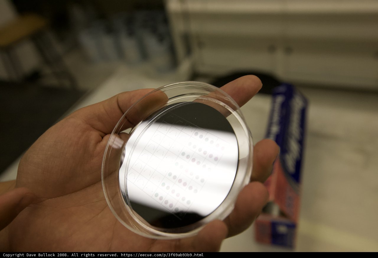 Reflections in a Glass Plate