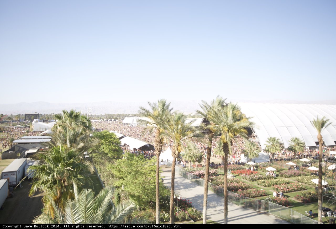 Summer Crowd under Palm Trees