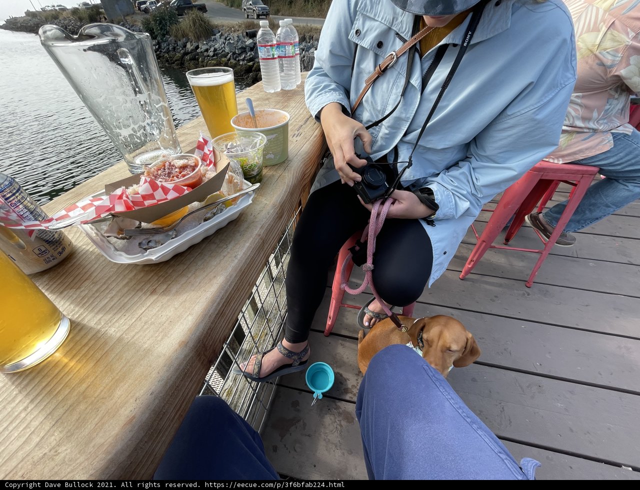 A Woman and Her Canine on a Dining Table