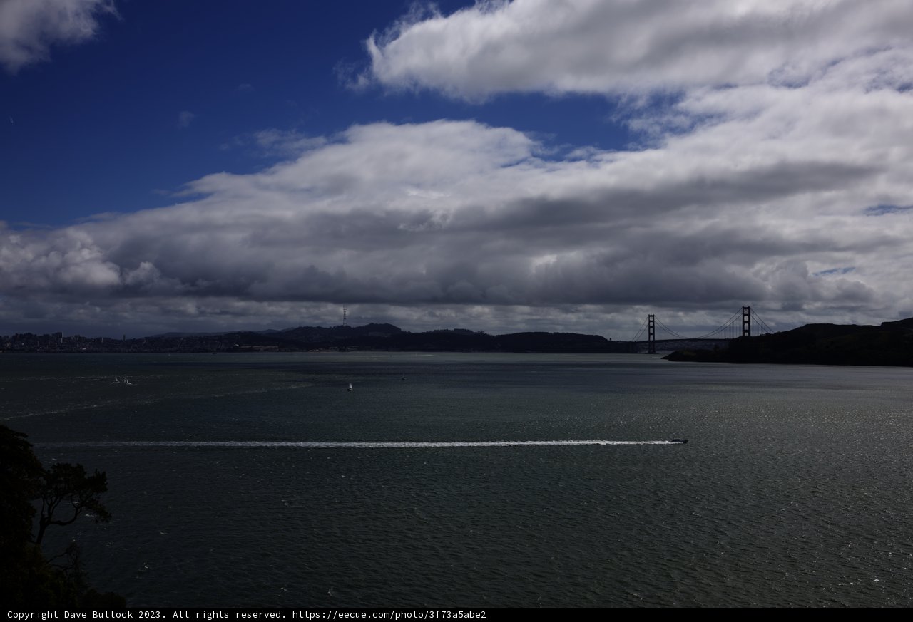 Tranquil Tiburon Sailing Adventure