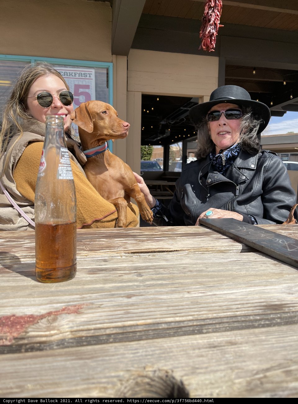 Table for Two: A Woman and Her Canine Companion