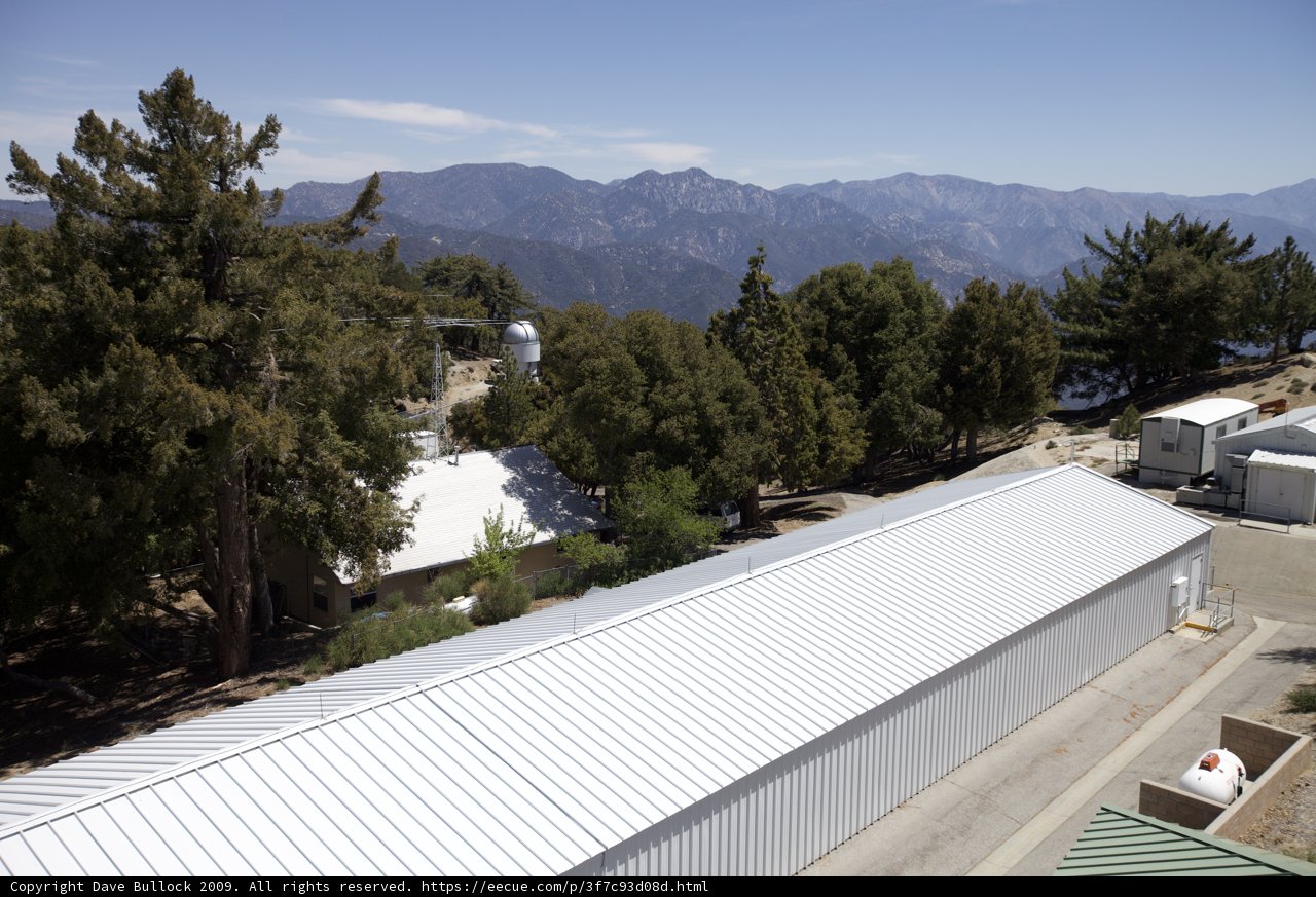 White Roof Building and Trees