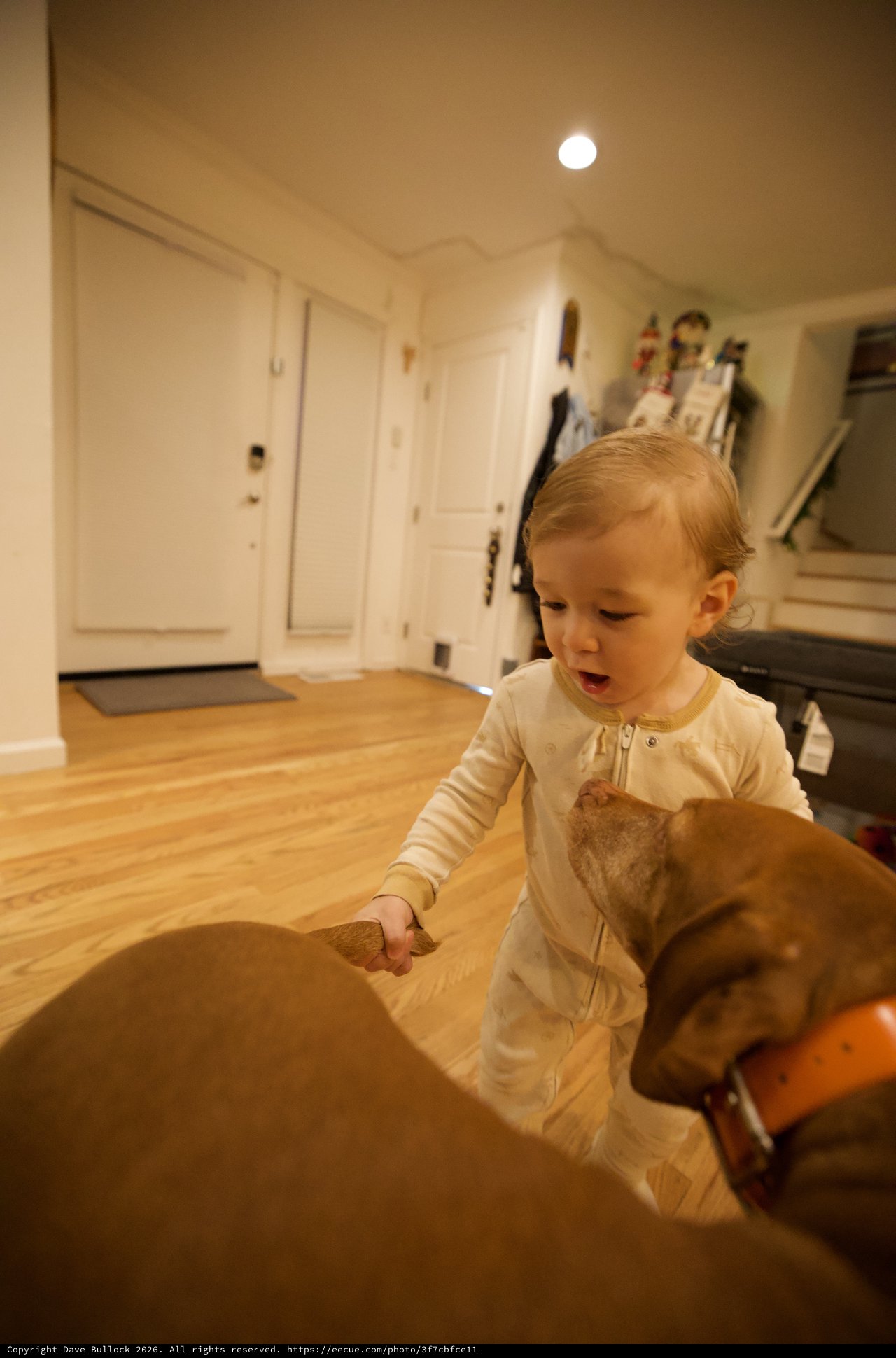 Toddler in Pajamas Exploring Living Room at Night