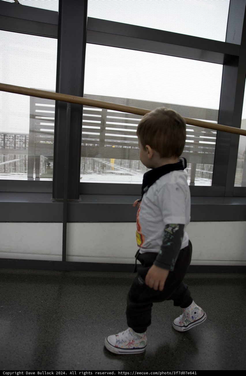 Reflections of Boyhood: Wesley at the Exploratorium
