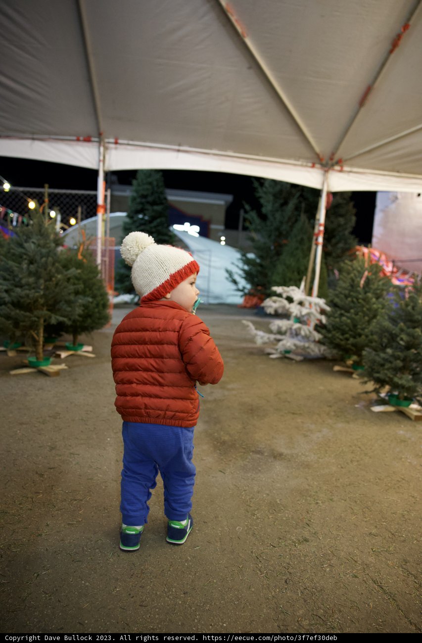 Wesley's Christmas Adventure in the Great Outdoors