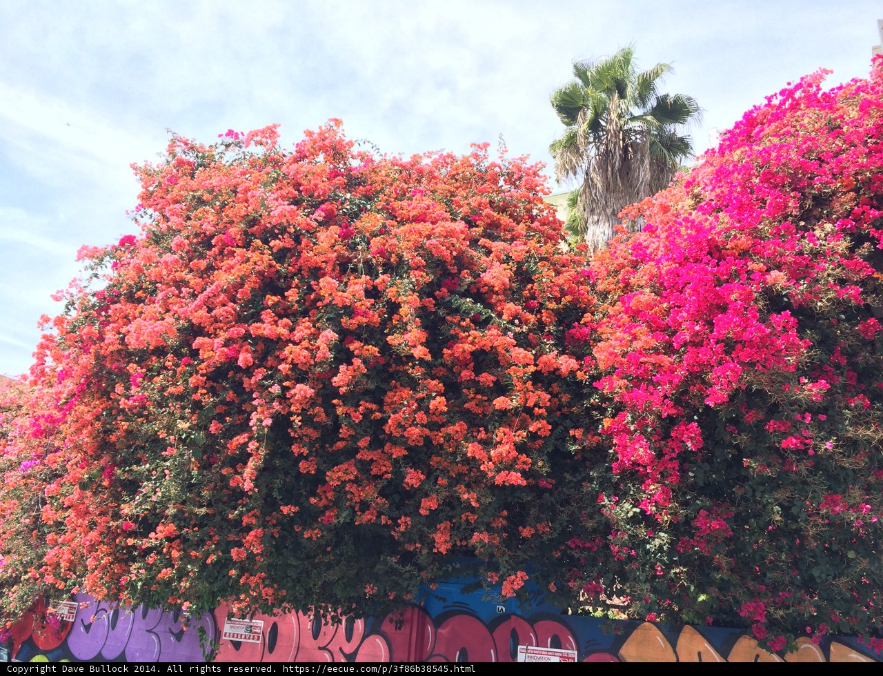 Beauty in Los Angeles