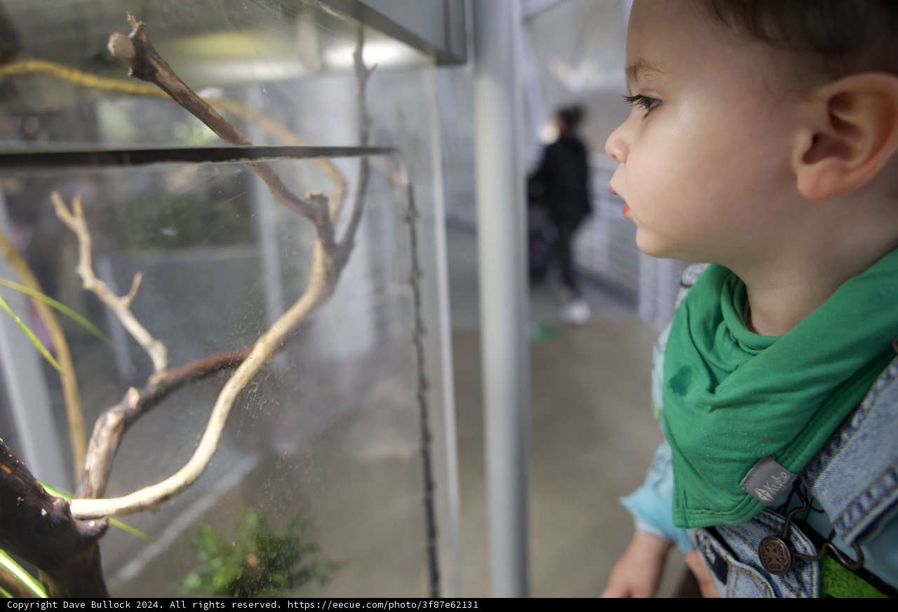 Captivated by the Cold-Blooded