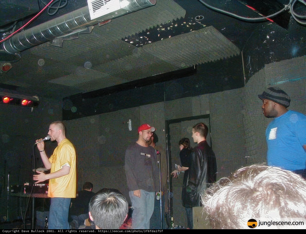 Night Club Performance