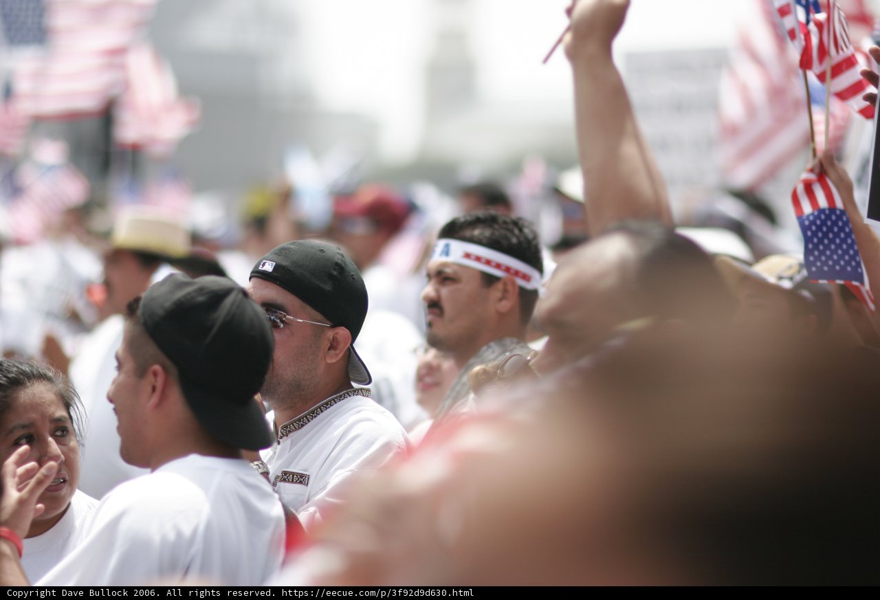 Patriotic Crowd
