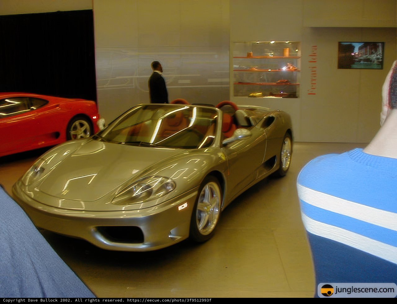 The Man and his Ferrari