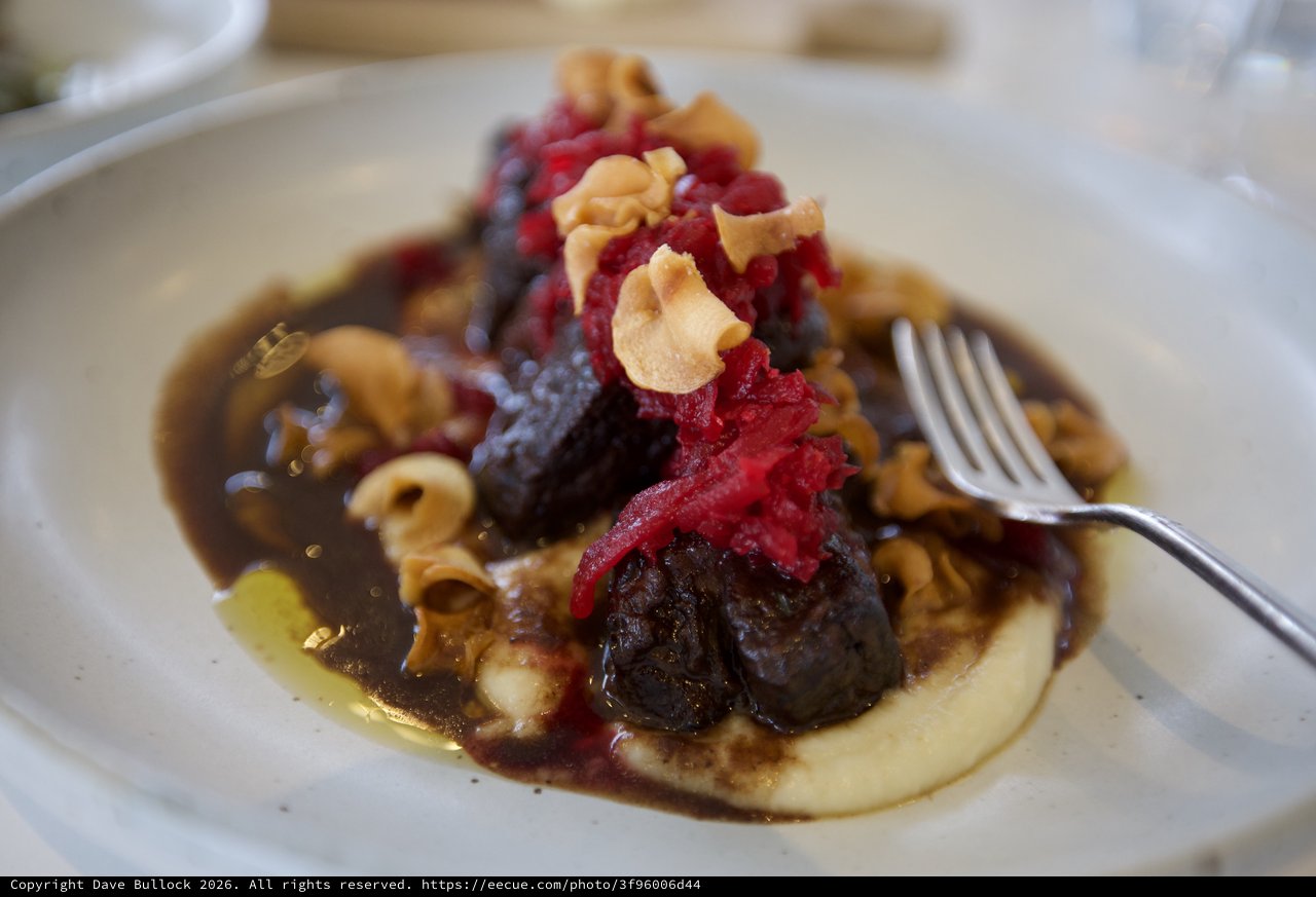 Elegant Braised Beef Short Rib with Root Vegetables