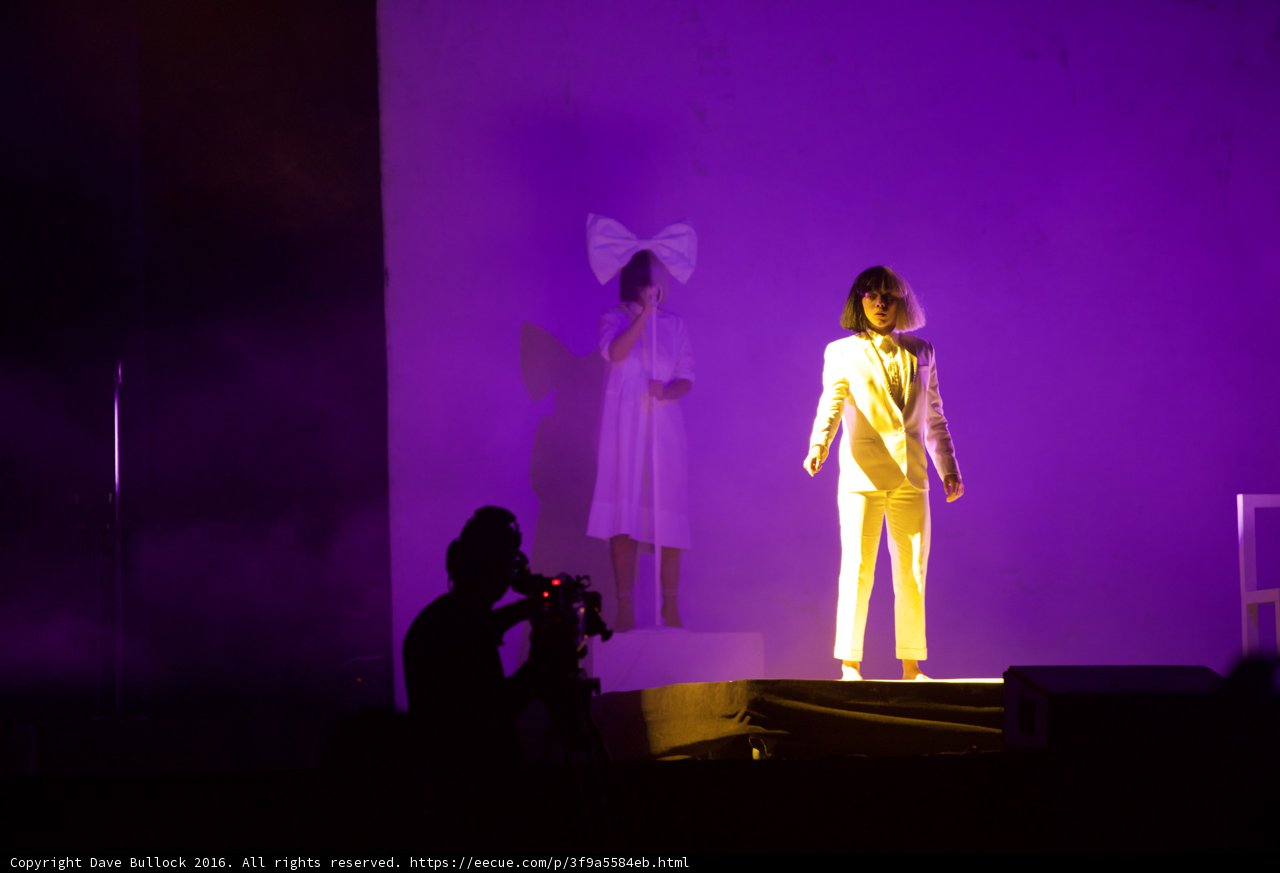 The Yellow Suit Performance